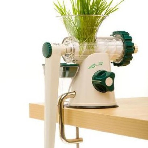 Lexen Healthy Juicer Review Juice it Upp!