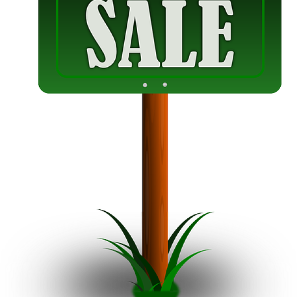 The Best "Cheap" Juicer A Hidden Treasure Juice it Upp!